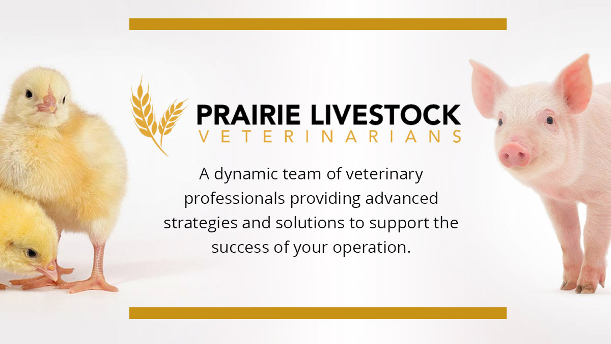 Contact Us Prairie Livestock Veterinarians
